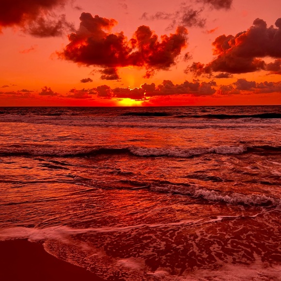 Meet your Posher, Eryn - Picture 1 of 1